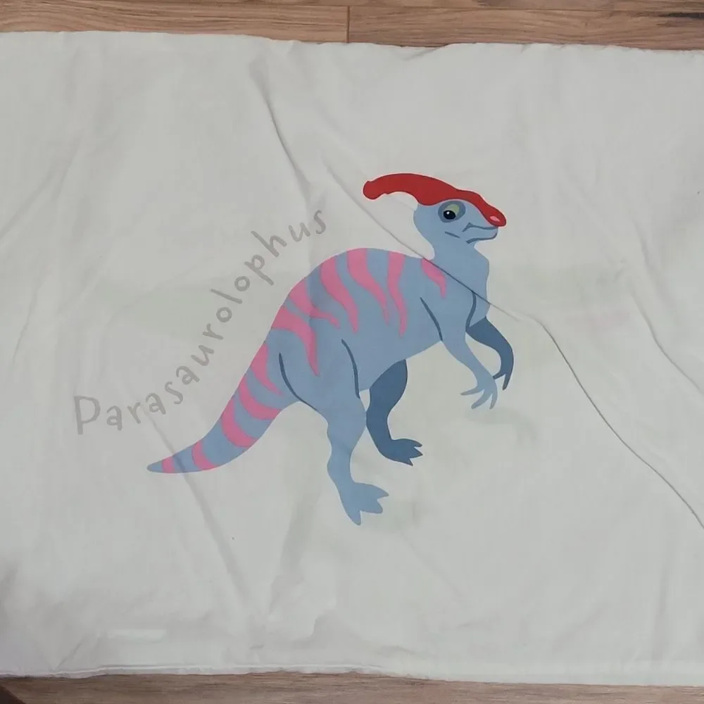 Dinosaur kids bedroom bundle
